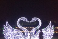 Fiesta of Lights