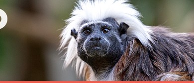 Young Photographers Workshop