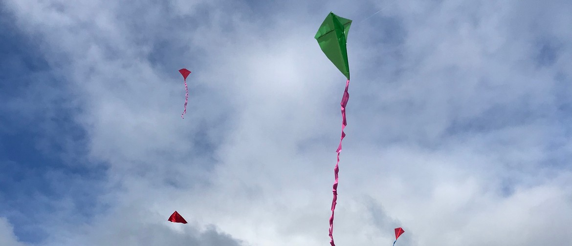 Out and About Kite Day