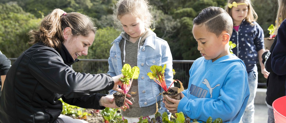 Discovery Garden Familiarisation Tour for Teachers