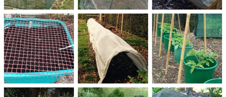 Portable Shade and Shelter for Easier Edible Growing