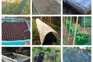 Portable Shade and Shelter for Easier Edible Growing