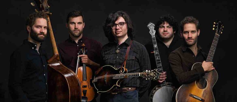 the lonely heartstring band