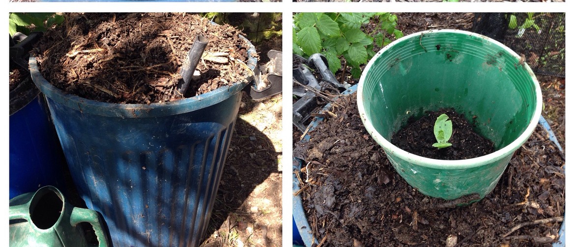 Self Watering Containers for Easier Edible Growing