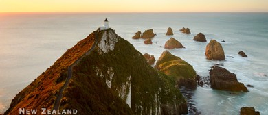 Wild South Island Photography Tour - 7 Days