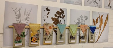 Masterclass Colors Extraction Eco Dye