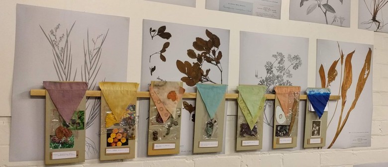 Masterclass Colors Extraction Eco Dye