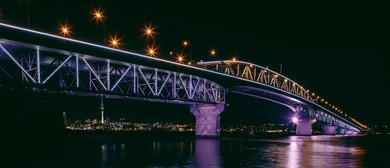 Vector Lights for The Festive Season