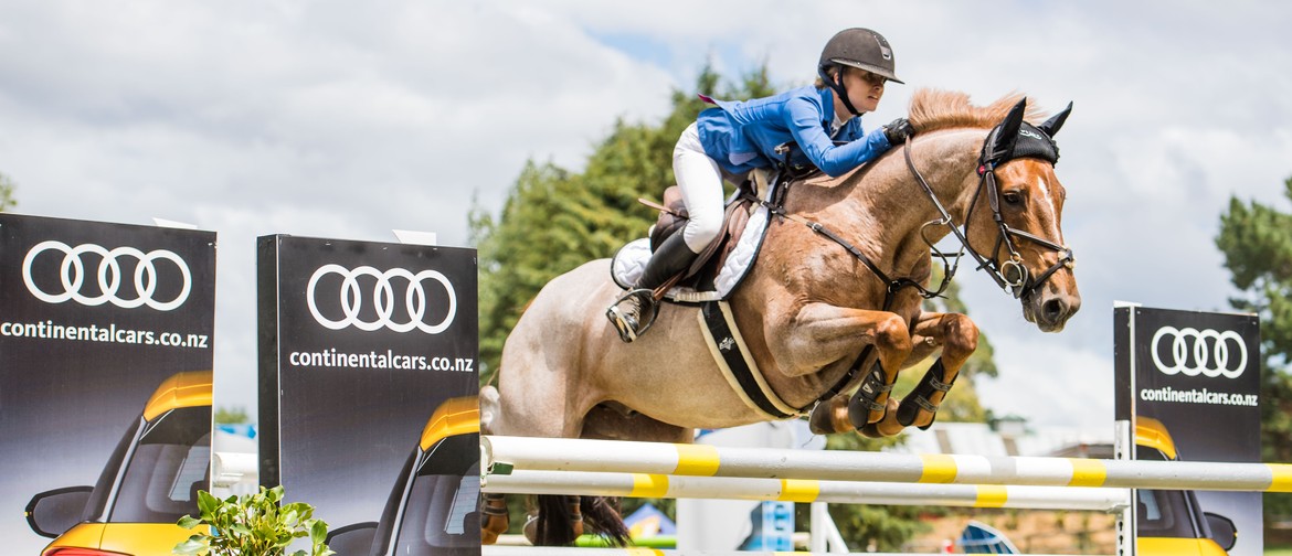 Continental Cars Audi Show Jumping World Cup Final