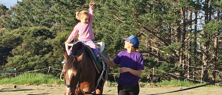 Equestrian Vaulting Session for Ages 6 and Under