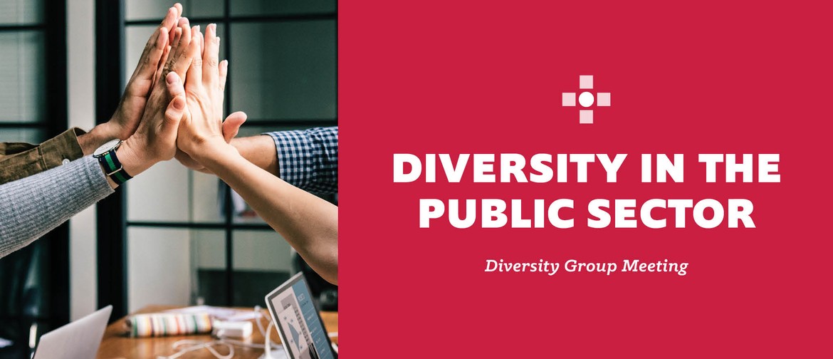 Diveristy Group Meeting: Diversity In the Public Sector