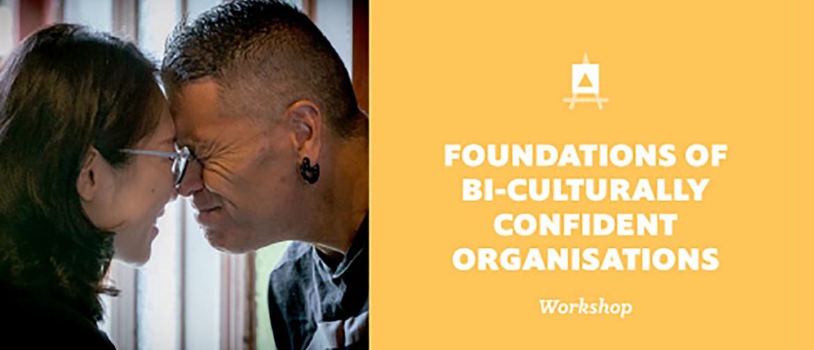 Foundations of Bi-Culturally Confident Organizations
