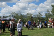 Art In the Olives Festival