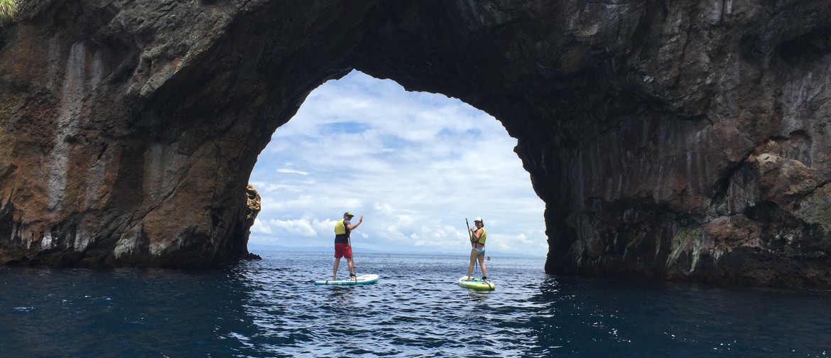 Poor Knights Islands Paddle Boarding Tour