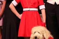 Image for event: Annie Jr