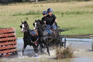 Image for event: Central Districts Carriage Driving Association