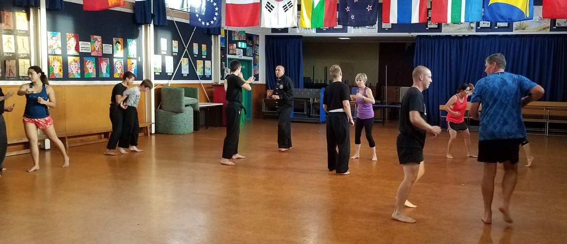 Adults Martial Arts Classes for Beginners and Experts