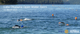 Rotary Rotorua Lake Okataina Open Water Swim