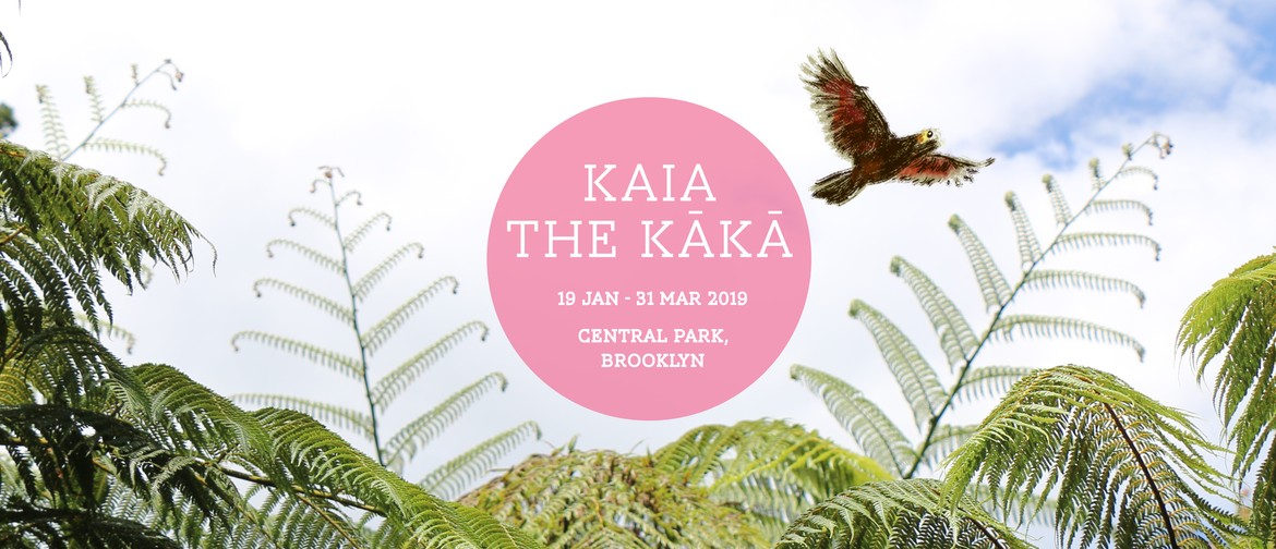 Kaia the Kākā – Family Adventure In Nature