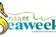 Image for event: Seaweek - EMR Pataua Drift Snorkel experience
