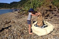 Seaweek - Wairoa Riverside Clean Up