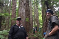 Image for event: Redwood Ramble