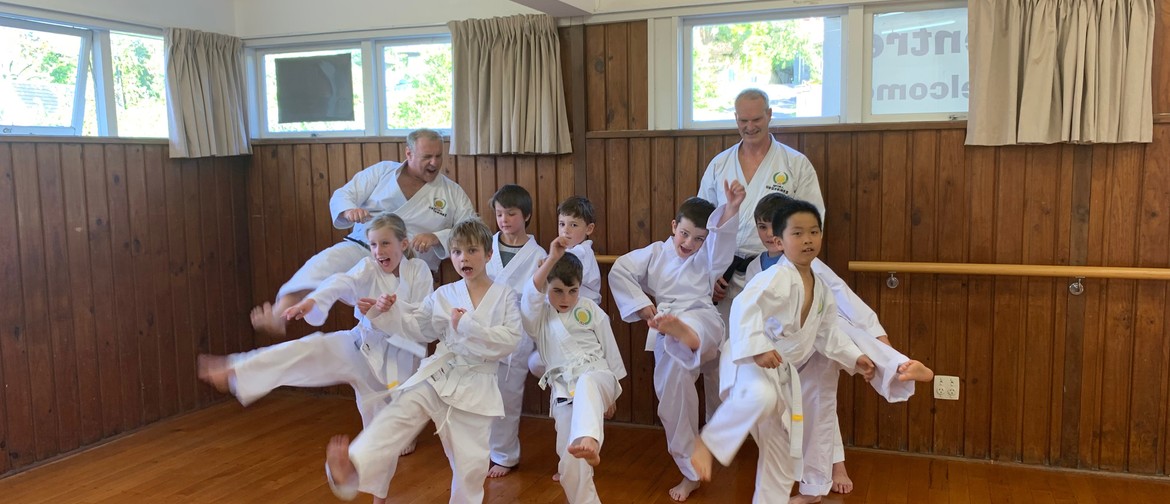 Little Tiger Karate classes
