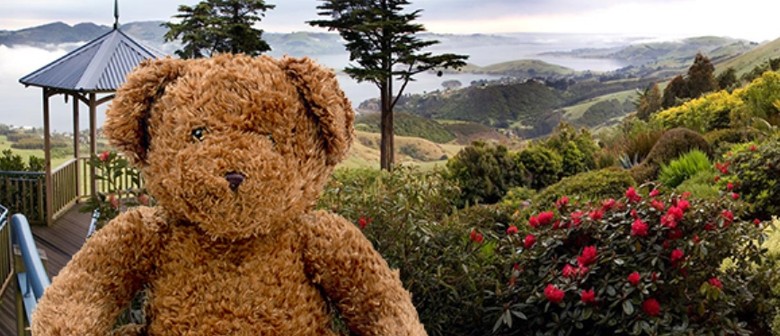 Teddy Bears Picnic (School Holidays)