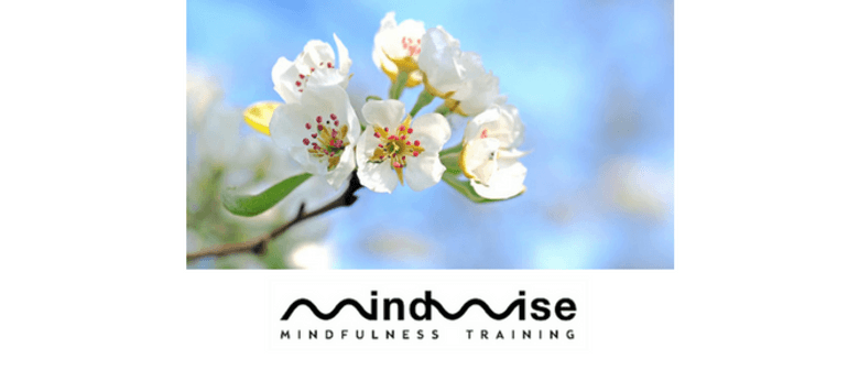MindWise Day of Mindfulness Retreat: CANCELLED