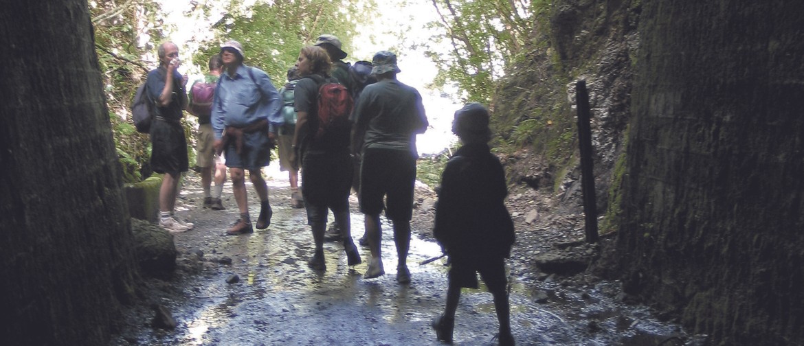 Hike the Remutaka Rail Trail