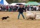 Mackenzie Highland A&P Show