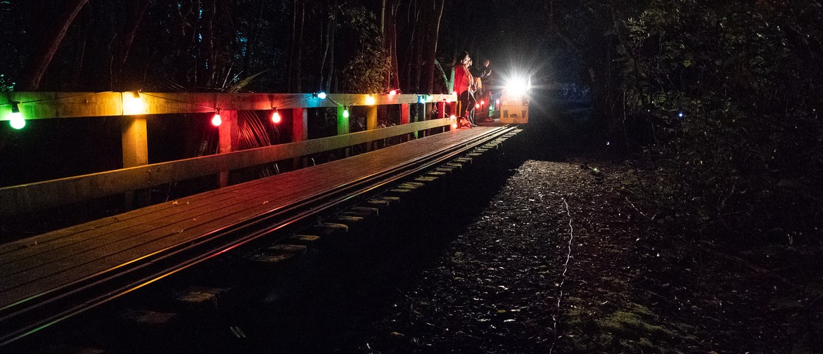Lights of Spring Night Trains