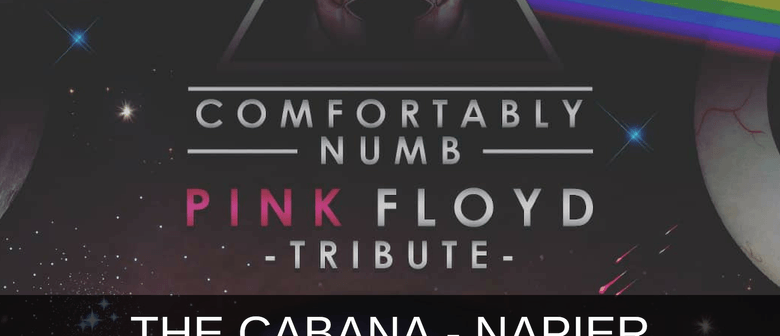 Comfortably Numb Play Pink Floyds The Wall More Napier