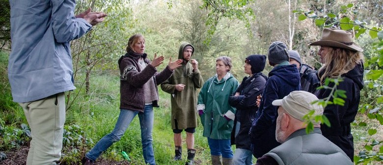 Permaculture Farm and Food Forest Tour