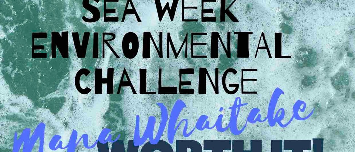 Seaweek - Environmental Challenge