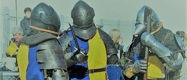Tauranga Titans Medieval Combat Open Day