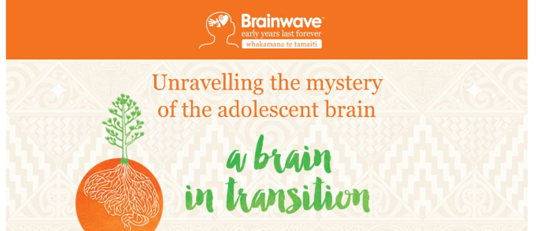 Unravelling the Adolescent Brain