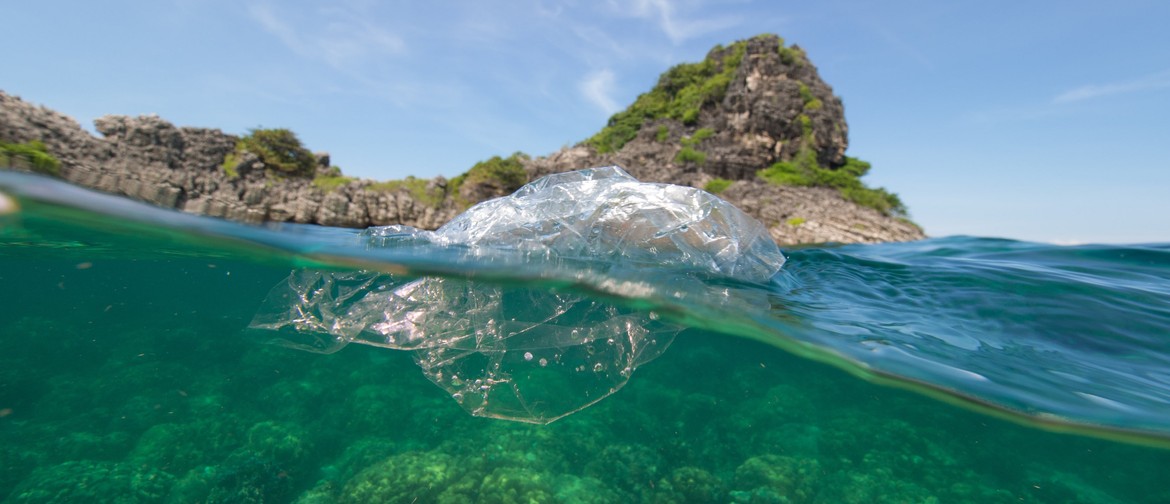 Ocean Detectives: Tracking Plastics In Our Marine