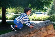 Image for event: Pop-up Nature Play Space