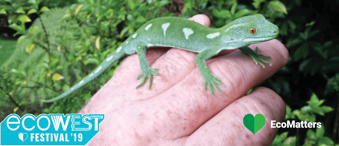 EcoWest Festival 2019 - Geckos, Skinks, Lizards Of Aotearoa