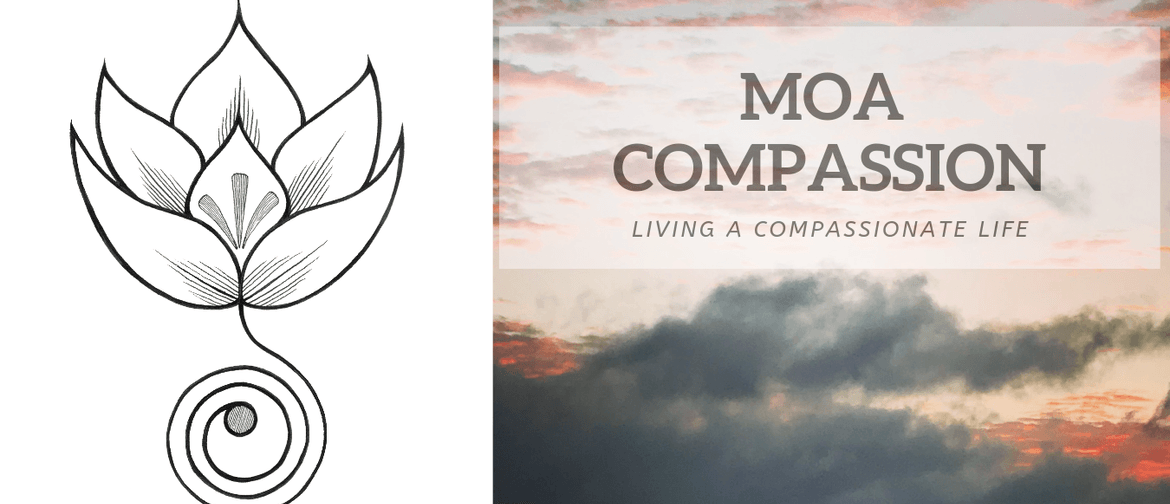Mindful Self-Compassion Introductory Workshop