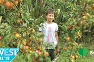 Image for event: EcoWest Festival 2019 - Seasonal Pulse Autumn