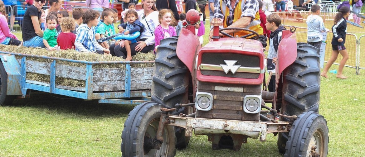Te Puna School Country Fair