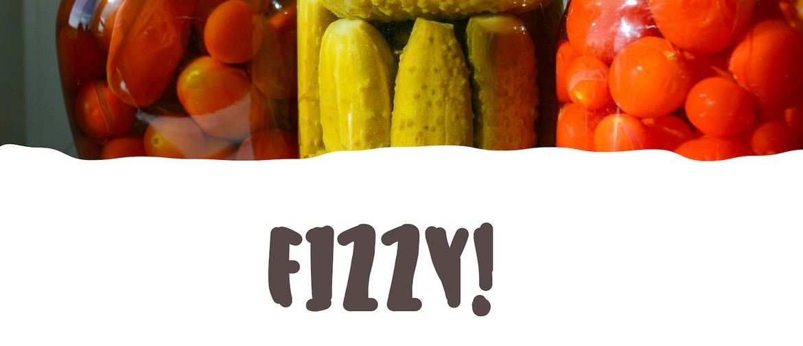 Fizzy - Food Fermentation Workshop