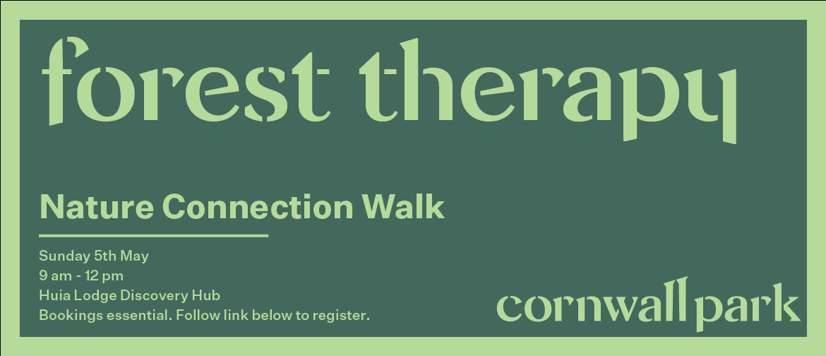 Forest Therapy - Nature Connection Walk
