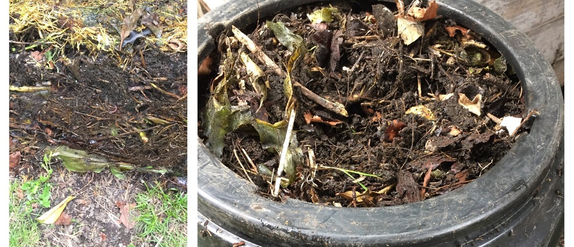 Home Composting for Beginners