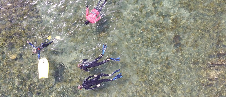 Explore Whitireia Coast Snorkel: CANCELLED
