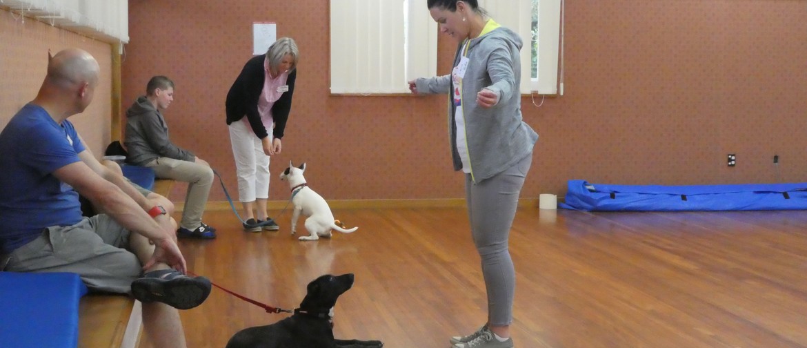 Indoor Dog Training - Life Skills Class for All Dogs