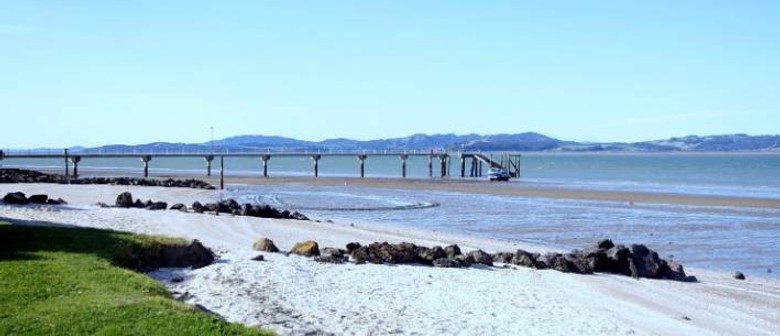 Kaipara River and Harbour Cruise