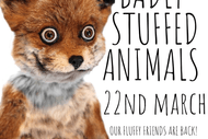Image for event: Badly Stuffed Animals